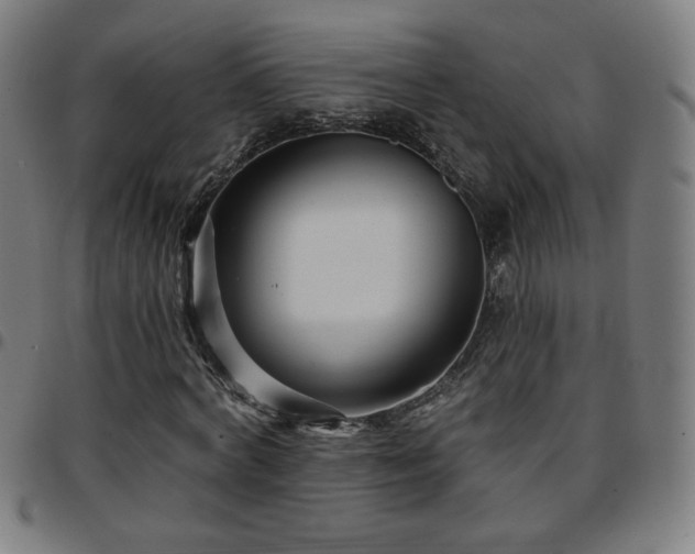 X0000097650772200803071508