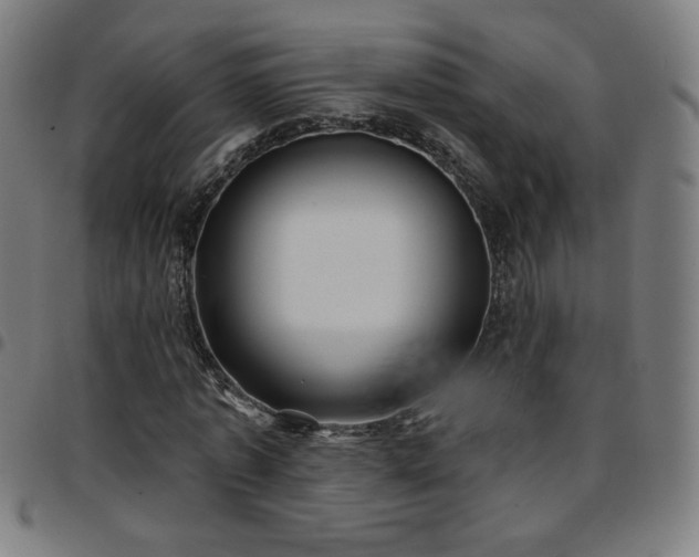 X0000097650773200803071508