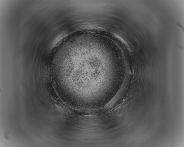 X0000097650775200803071508