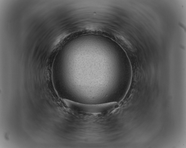 X0000097650776200803071508