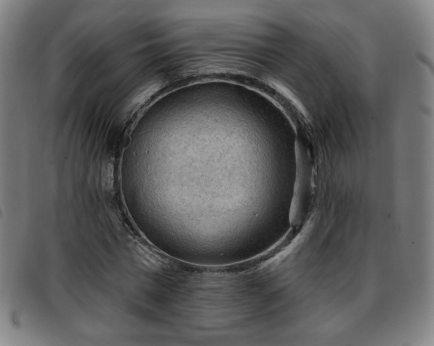 X0000097650777200803071508