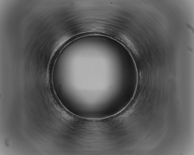 X0000097650780200803071508