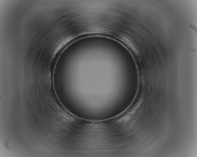 X0000097650781200803071508