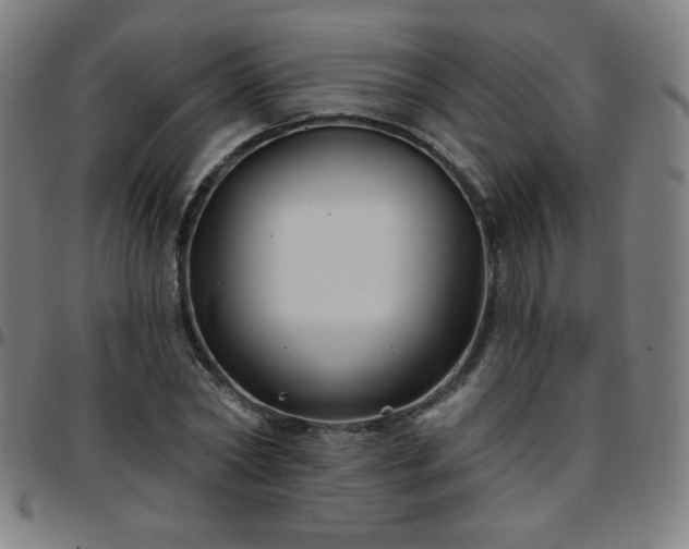 X0000097650782200803071508