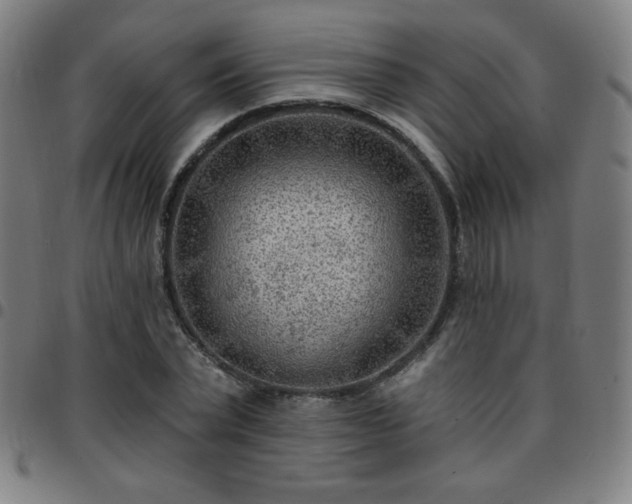 X0000097650783200803071508