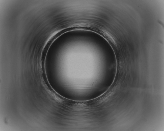 X0000097650784200803071508