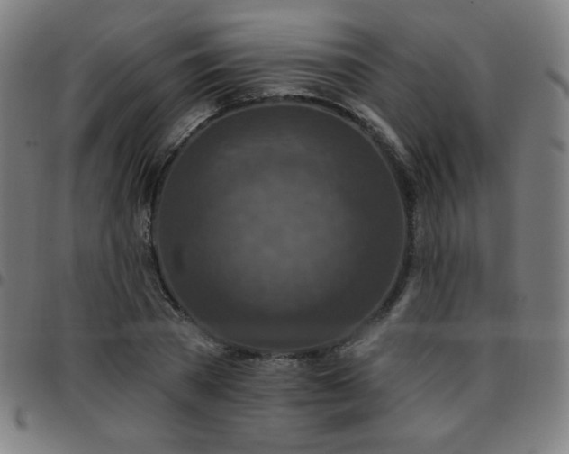 X0000097650785200803071508