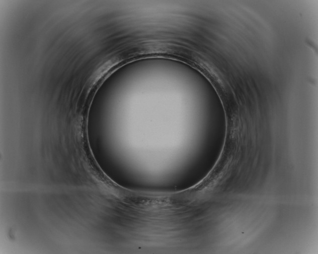 X0000097650786200803071508