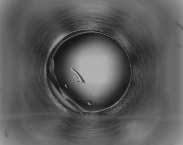 X0000097650788200803071508