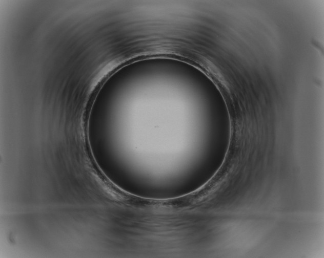 X0000097650789200803071508