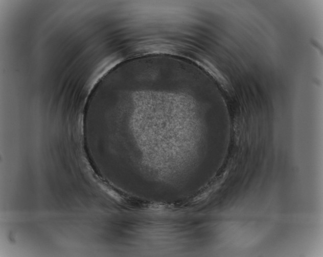 X0000097650790200803071508