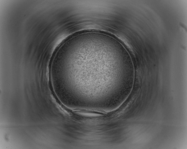 X0000097650791200803071508