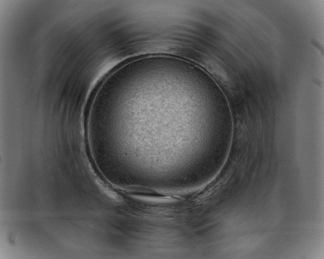 X0000097650792200803071508