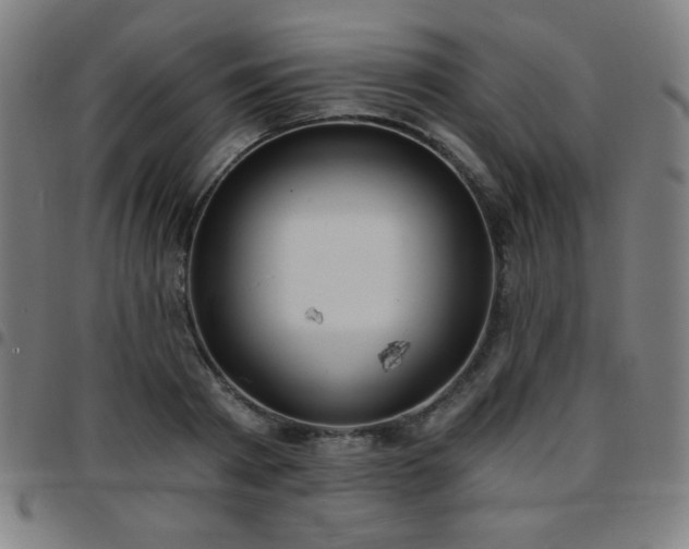 X0000097650793200803071508