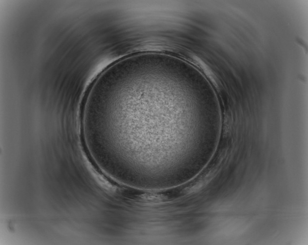 X0000097650795200803071508