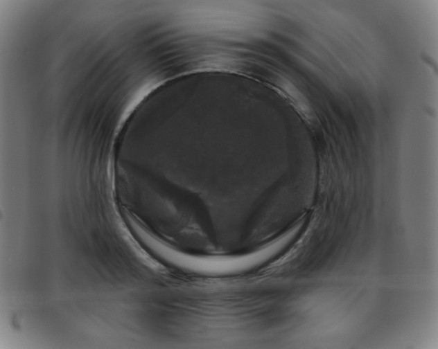 X0000097650796200803071508