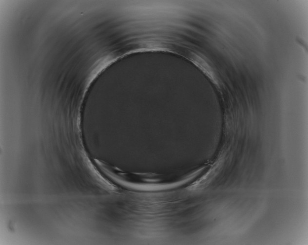 X0000097650797200803071508