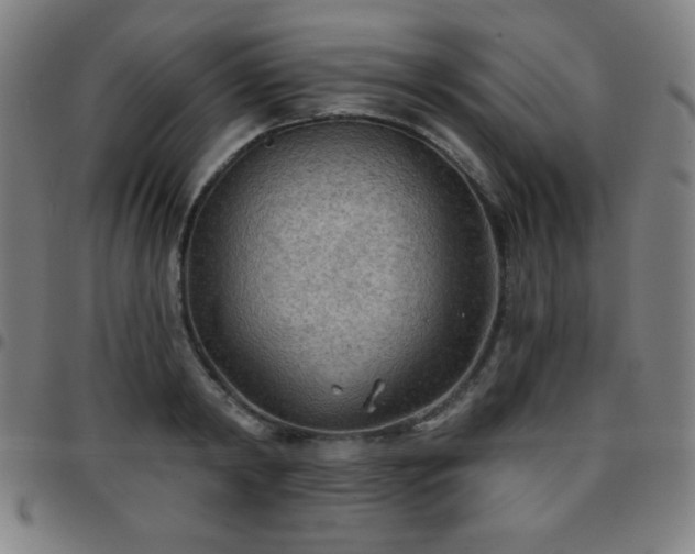 X0000097650798200803071508