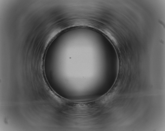 X0000097650799200803071508