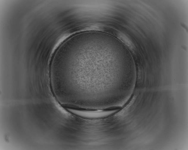 X0000097650800200803071508