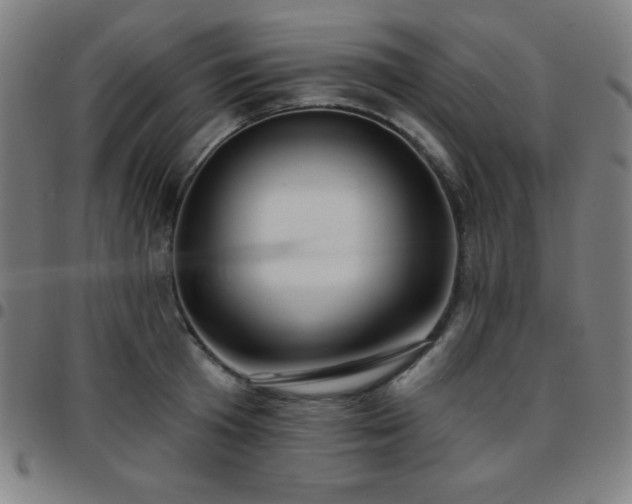 X0000097650801200803071508