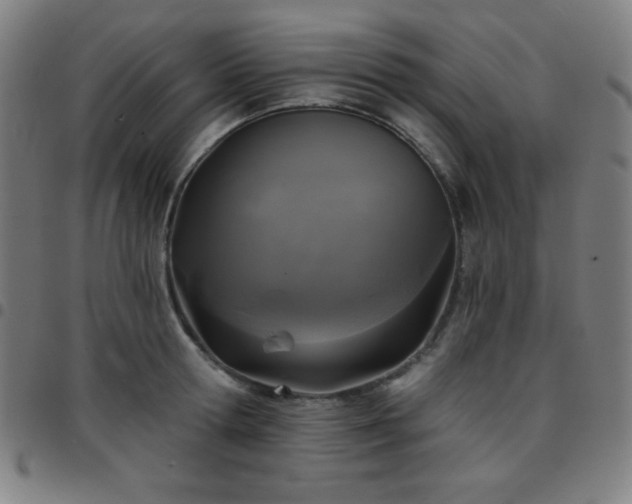 X0000097650802200803071508