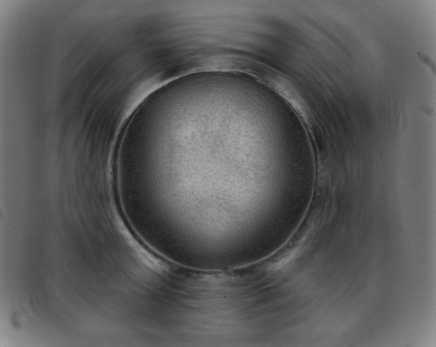 X0000097650803200803071508