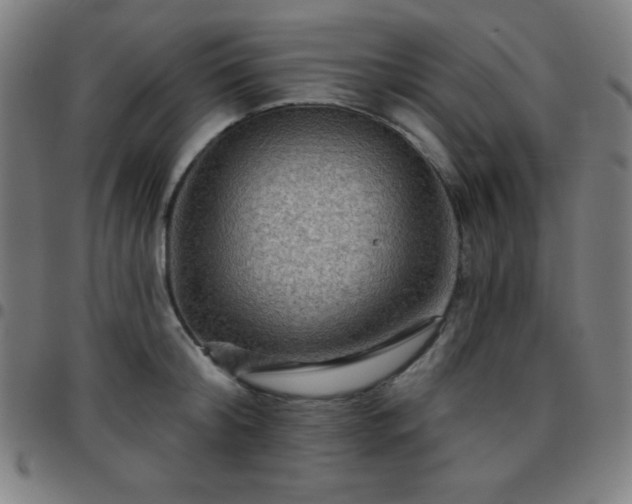 X0000097650804200803071508