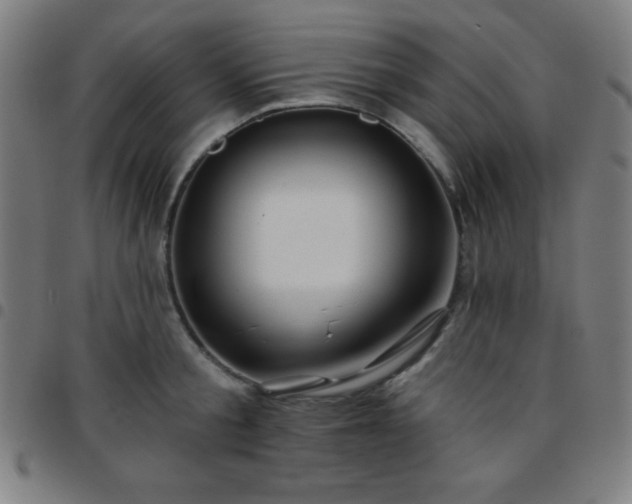 X0000097650805200803071508