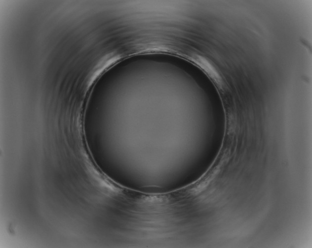 X0000097650806200803071508