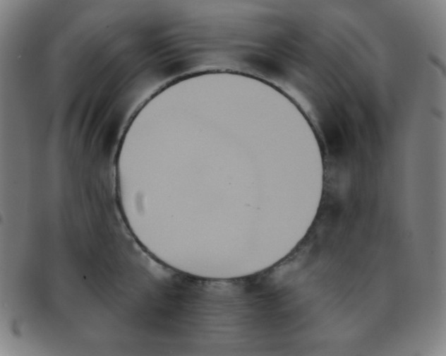 X0000097650807200803071508