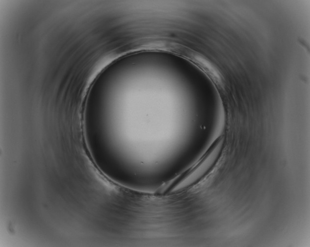 X0000097650808200803071508