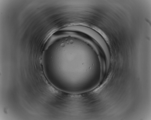 X0000097650809200803071508