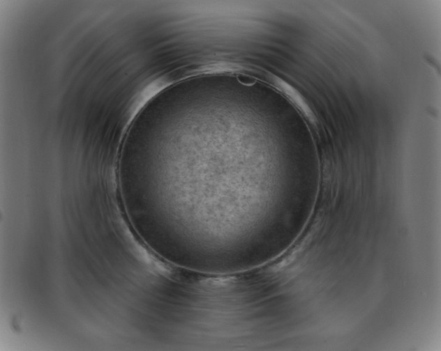 X0000097650810200803071508