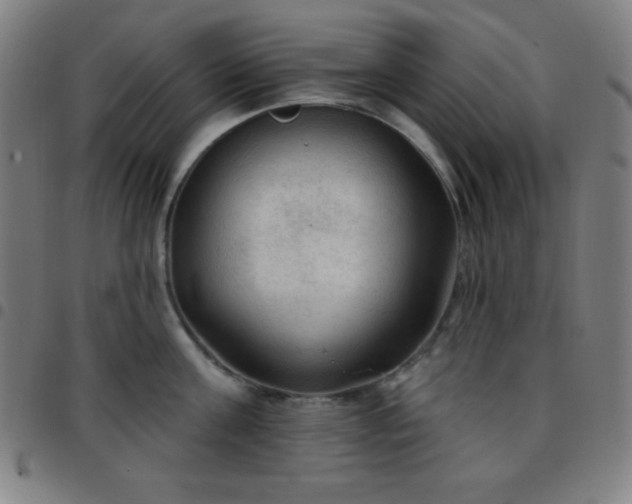 X0000097650811200803071508