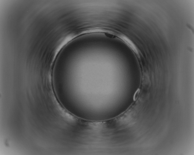 X0000097650813200803071508