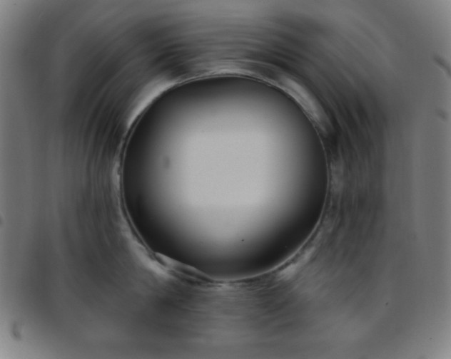 X0000097650814200803071508