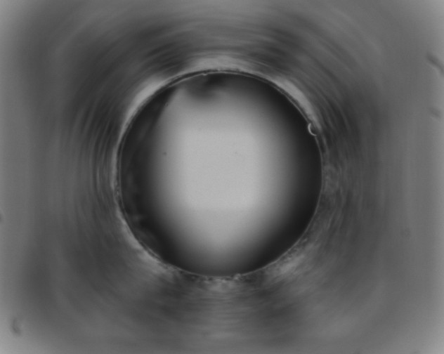 X0000097650815200803071507