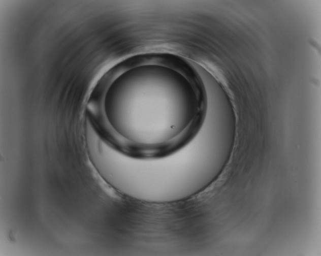 X0000097650816200803071507