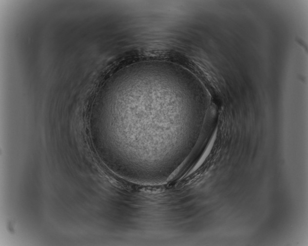 X0000097650817200803071507