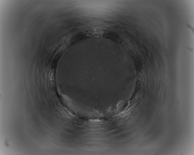 X0000097650818200803071507