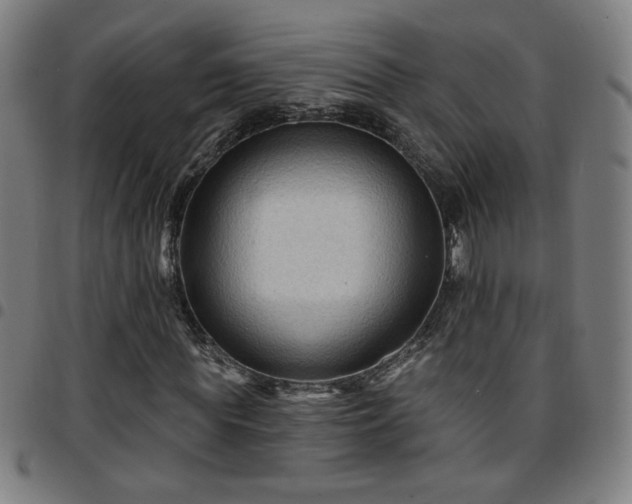 X0000097650819200803071507