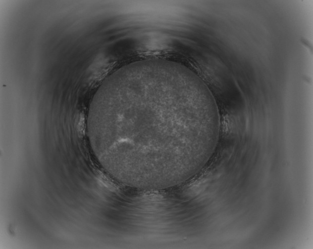 X0000097650820200803071507