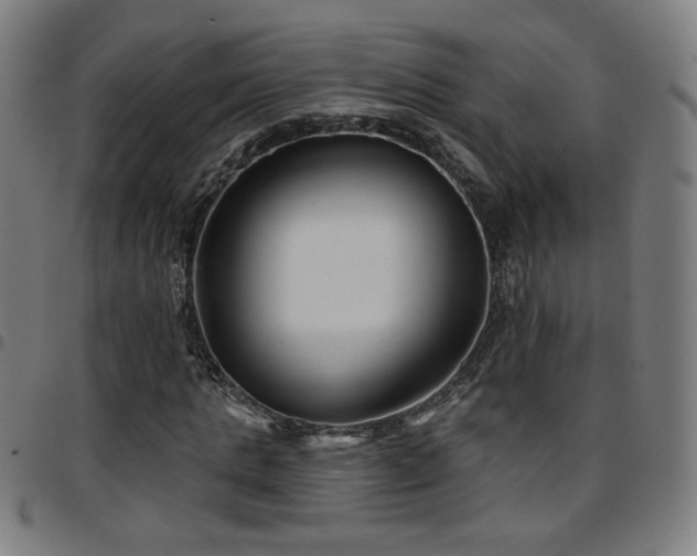 X0000097650821200803071507