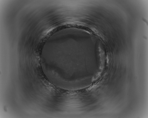 X0000097650822200803071507