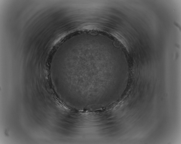 X0000097650823200803071507