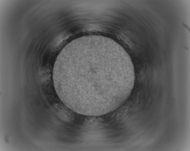 X0000097650824200803071507