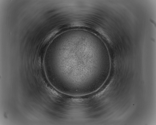 X0000097650825200803071507