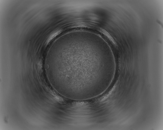 X0000097650826200803071507