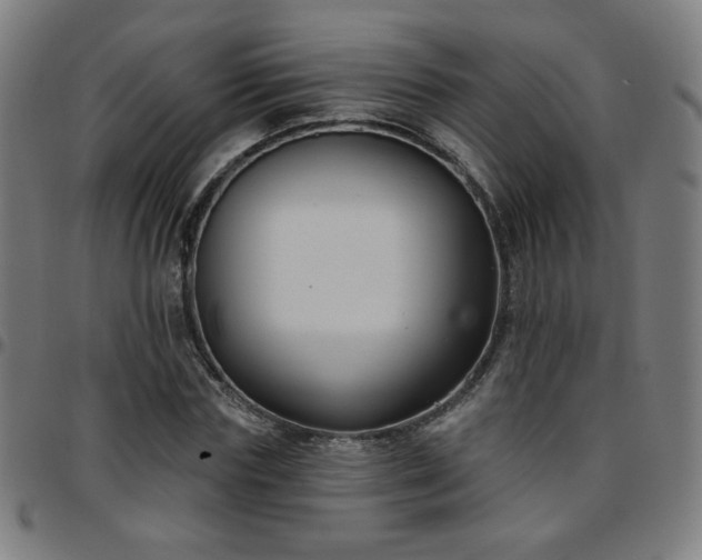 X0000097650827200803071507